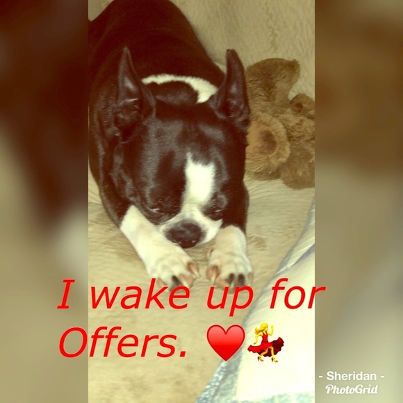 ⭐️ - Picture 2 of 6